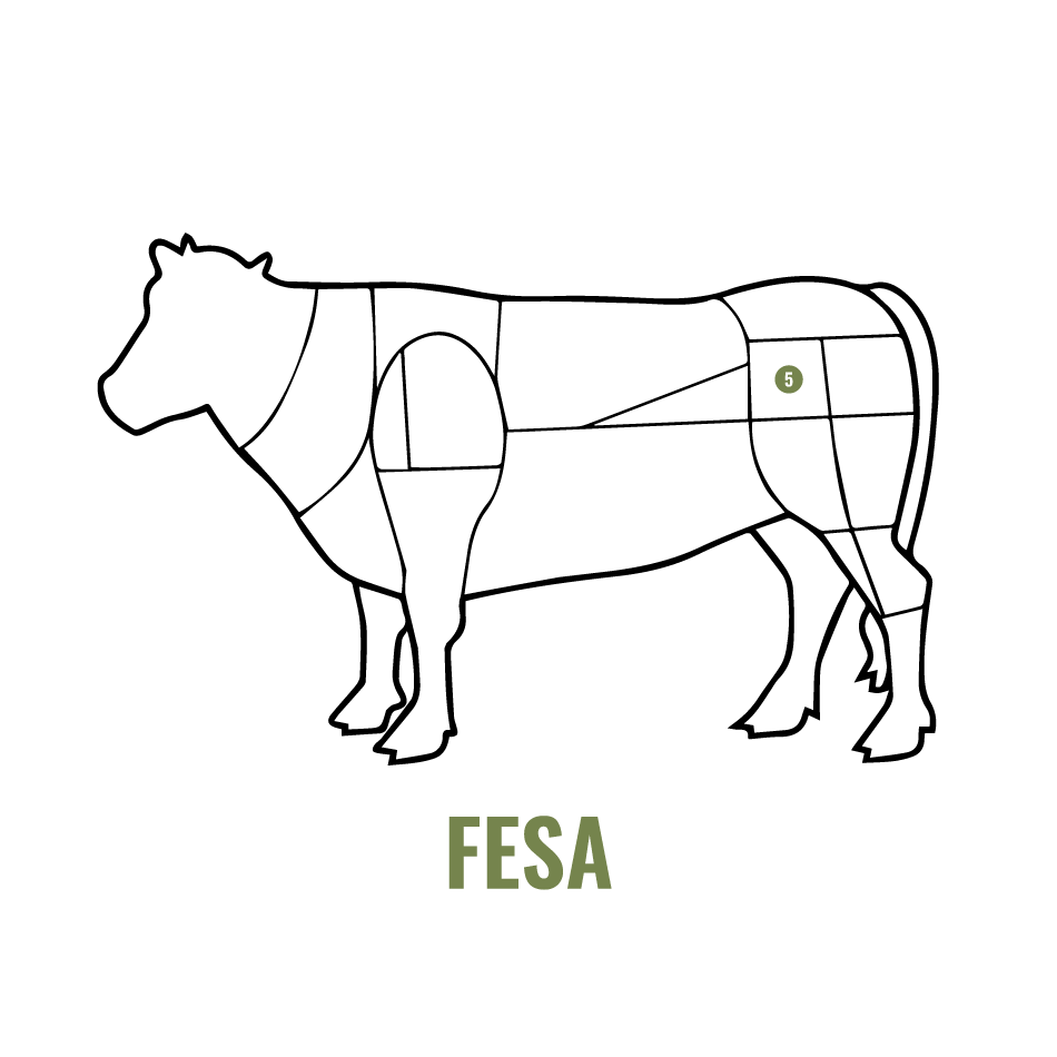 FESA