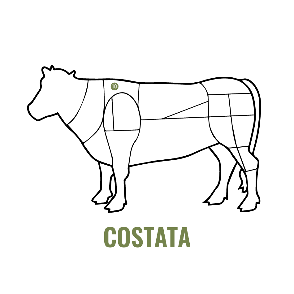 COSTATA