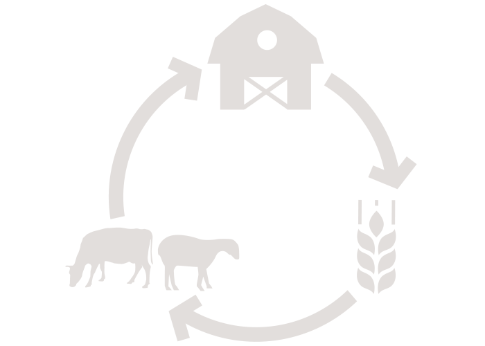 Alimentazione No OGM