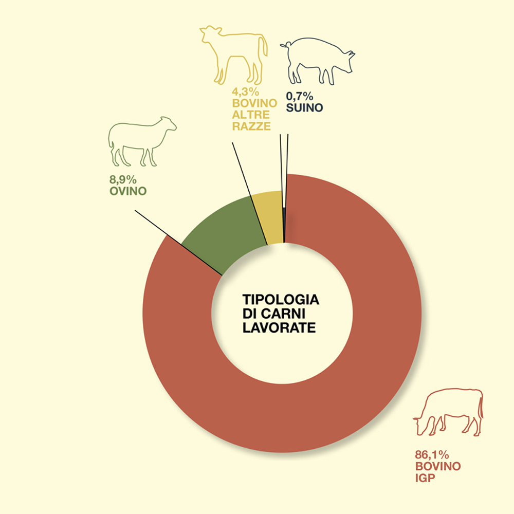 Principali tagli di carne bovino