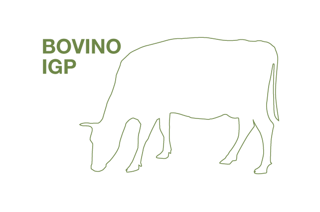 Prodotti Bovinmarche - BOVINO